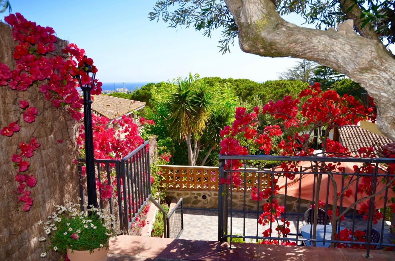 Arts House - Cabrils, Maresme, Barcelona Apartment *